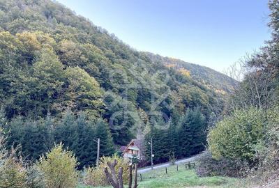 Teren de 2482 mp, în Bratca