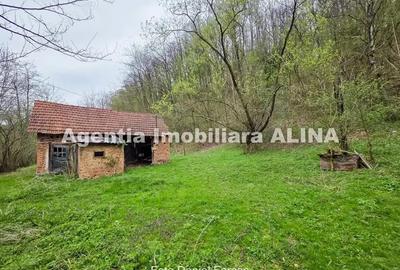 Teren de 9500 mp, în Nojag - 3