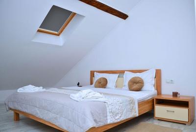Apartament cu 3 camere decomandat în Ultracentral - 4