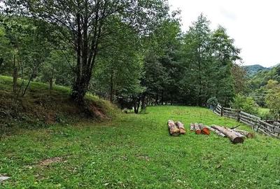 Teren intravilan de 1050 mp, în Bulz