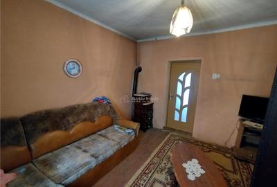 Anina, Casa de Vacanta, Zona Celnic, ZERO COMISION - 2