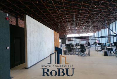 Showroom comercial, clinica zona Calea Bucuresti # RoBU spatii comerciale - 2