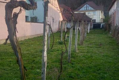 Casa ?i teren pentru construc?ii in Calnic - 2