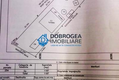 Murighiol, teren intravilan 1187 mp, Camping cu casute si foisor - 6