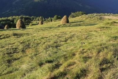 Teren de 5621 mp, în Măguri - 5