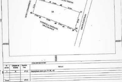 Vand Teren intravilan 1715 mp la 15 min de Pitesti cu acces dinspre A1 - 2