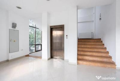 Spațiu comercial, de 250 mp, în Ferdinand - 7