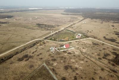 TEREN MOSNITA VECHE - GHIRODA 904 MP - 1