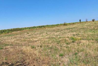 Teren de 2666 mp, în Pârvu Roșu - 1