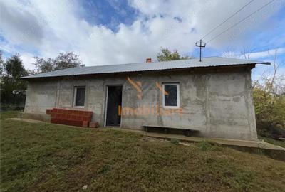 Casă cu 2 camere cu Teren 4000 Mp în Dernișoara - 1