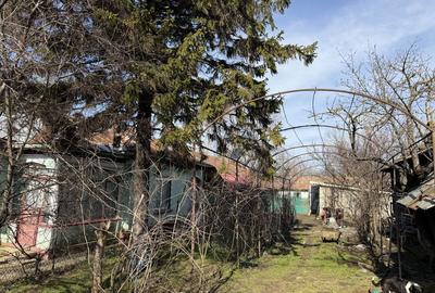 Casă cu 4 camere în Viișoara - 7