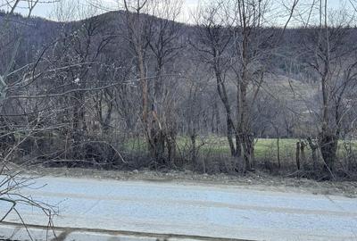 Spațiu comercial, în Rășinari - 2