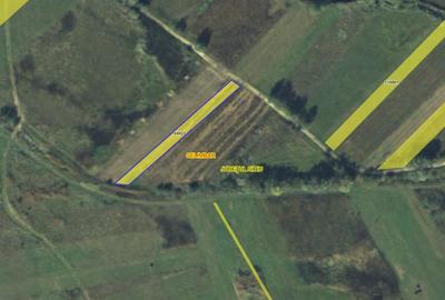 Teren agricol extravilan de 900 mp, în Mohu - 3