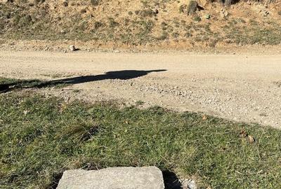 Teren de 4000 mp, în Poiana Brașov - 6