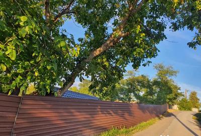 Teren de 1222 mp, în Mogoșești