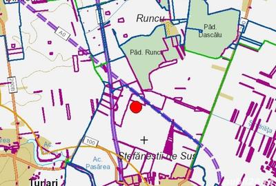 Teren de 10400 mp, în Ștefăneștii de Sus - 6