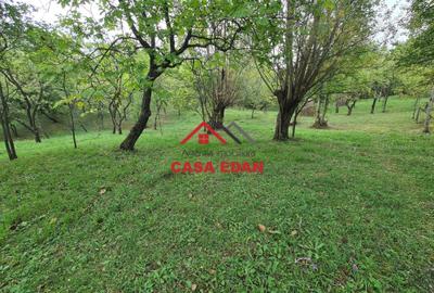 Teren intravilan in Sotrile--5991mp--10e Teren intravilan in Sotrile--5991mp--10e - 3