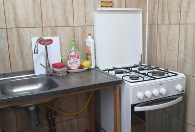 Casă cu 10 camere cu Teren 1500 Mp în Săcueni - 7