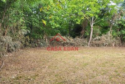 Casă cu Teren 2093 Mp în Bănești - 6