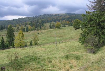 Predeal-Teren intravilan situat in Paraul Rece - 6