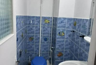 Apartament cu 3 camere decomandat în Seleuș - 5
