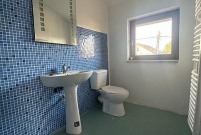 Casă individuală cu 10 camere cu Piscina în Dumbrăvița - 15