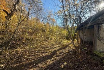 Teren langa pădure 6400mp-casa demolabile-deschidere 35 ml - 10