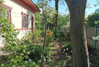 Casă cu Teren 1500 Mp în Dor Mărunt - 2