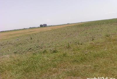 Teren de 9.5 mp, în Ceamurlia de Jos - 2