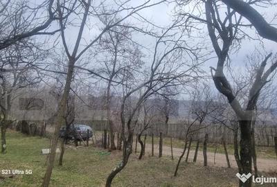 Teren în Schiulești - 11