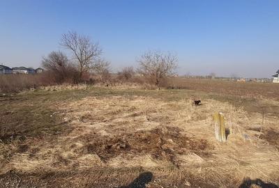 Teren de 1430 mp, în 1 Decembrie