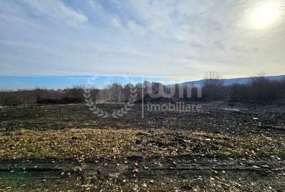 Teren intravilan 650mp | Front 36m | Buna Ziua | Zona Mihai Romanu! - 2