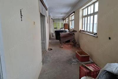 Casă cu Teren 1500 Mp în Domașnea - 1