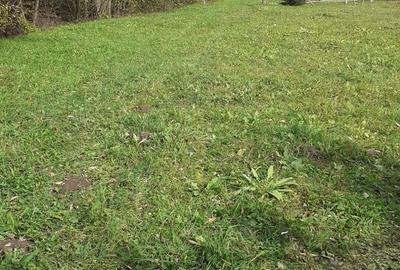 Teren de 3650 mp, în Grințieș - 3