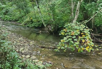 Vand proprietate pe Transapuseana - 7