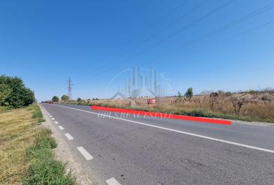 TEREN VARIANTA OVIDIU-CONSTANTA - 7