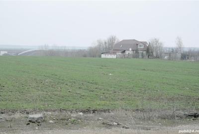 Particular - Moara Vlasiei, 5.044 mp. teren intravilanin zona Mixta cu acces din DJ - 3