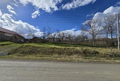 Casă individuală cu 3 camere cu Teren 2876 Mp în Herneacova - 4