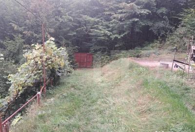 Casă cu 2 camere cu Teren 1000 Mp în Vulcan - 3