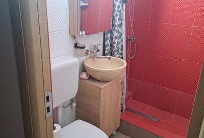 Garsonieră decomandată în Alexandru cel Bun - 4