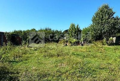 Bucium - Paun, teren intravilan, 1000mp - 3