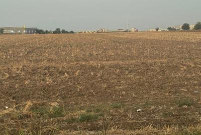 Teren în Brănești - 1