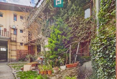 Proprietate multifunctionala central Arad - 1