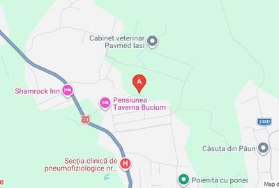 Teren Construcții intravilan de 7000 mp, în Bucium - 1