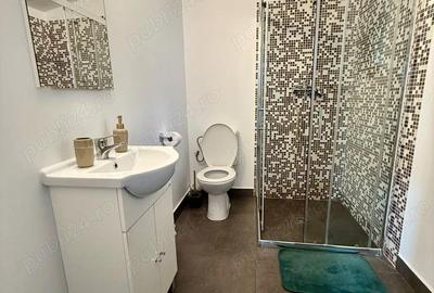 Casă cu 4 camere cu Teren 18000 Mp în Colibița - 5