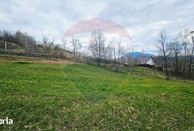 Teren de 2910 mp, în Hangu - 19