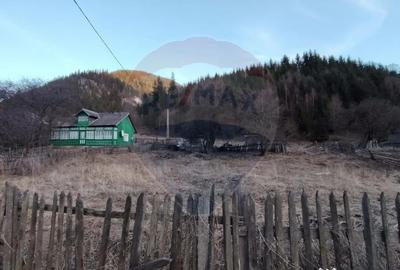 Casă cu 2 camere cu Teren 9287 Mp în Sunători - 14