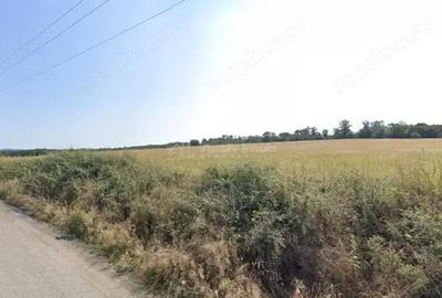 Teren de 127500 mp, în Forotic - 7