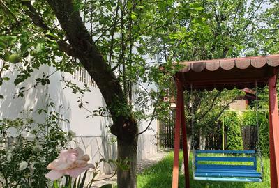 Breaza casa superba  in zona foarte pitoreasca - 16
