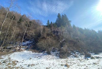 Spațiu comercial, în Sătic - 6